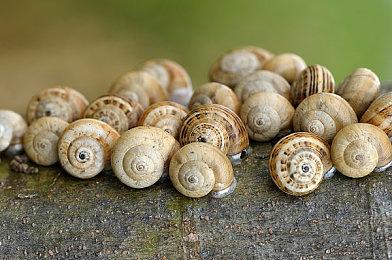 《地下城与勇士：决斗》“刃影”预告 7月上线